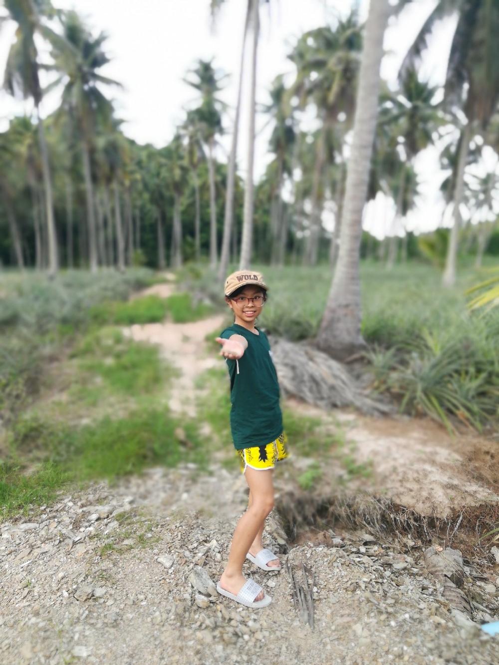 #ขายที่ชายทะเล #ราคาถูก#บ้านกรูด บางสะพาน ประจวบห่างชายหาด870 เมตร มีถนนดำผ่านหน้าที่ ตรงดิ่งไปถนนเลียบชายหาด พื้นที่เป็นสวนมะพร้าว ติดที่รถไฟ มีถนนเกือกม้าข้ามทางรถไฟหน้าที่ดินขนาด 8-3-93ไร่เหมาะทำบ้านพักตากอากาศ หรือคอนโดบริเวณใกล้เคียงมีรีสอร์ทแยะ – รูปที่ 2