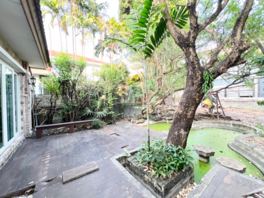 ขาย บ้านเดี่ยว ถูกมาก!! 159 ตรว. ติดถนนราชพฤกษ์ ลัดดารมย์ ราชพฤกษ์-รัตนาธิเบศร์2 – รูปที่ 3