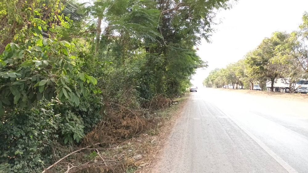 ขายที่ดินเปล่า 22 ไร่ ติดถนนใหญ่ 210 อุดรฯ-เลย ราคา 36,000,000 บาท – รูปที่ 4
