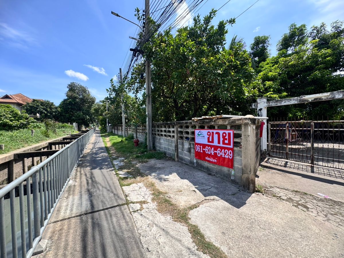 Land for sale at Wat Phai Ngern Chotanaram, good price, beautiful land (N.663) Land for sale at Wat Phai Ngern Chotanaram, good price, beautiful land (N.663)