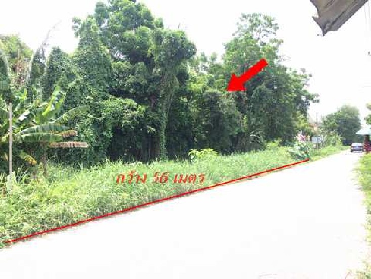ขายที่ดิน 633 ตร.วา. ซอยจรัญสนิทวงศ์35(ภู่อารีย์อุทิศ) ติดวัดมะลิ – รูปที่ 4