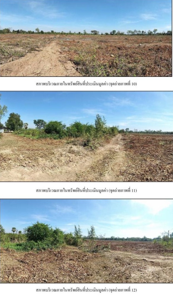 ขายที่ดิน 34 ไร่ 3 งาน 45 ตารางวา ถ.ทางหลวงแผ่นดินสายวังหิน-หนองนาดำ  ต.รังกาใหญ่  อ.พิมาย  นครราชสีมา
