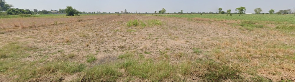 Land for sale in Kamphaeng Phet 23-1-66 rai. – รูปที่ 4