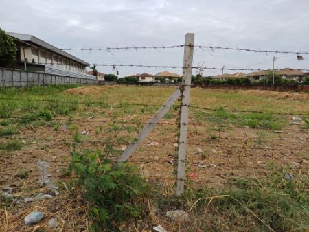 Land for sale, next to the main road, width 55 m., depth 140 m., Ratchaphruek land, Ratchaphruek Road, 4 rai 3 ngan 55 sq m, land plot orange, Y6 between Y6-7.