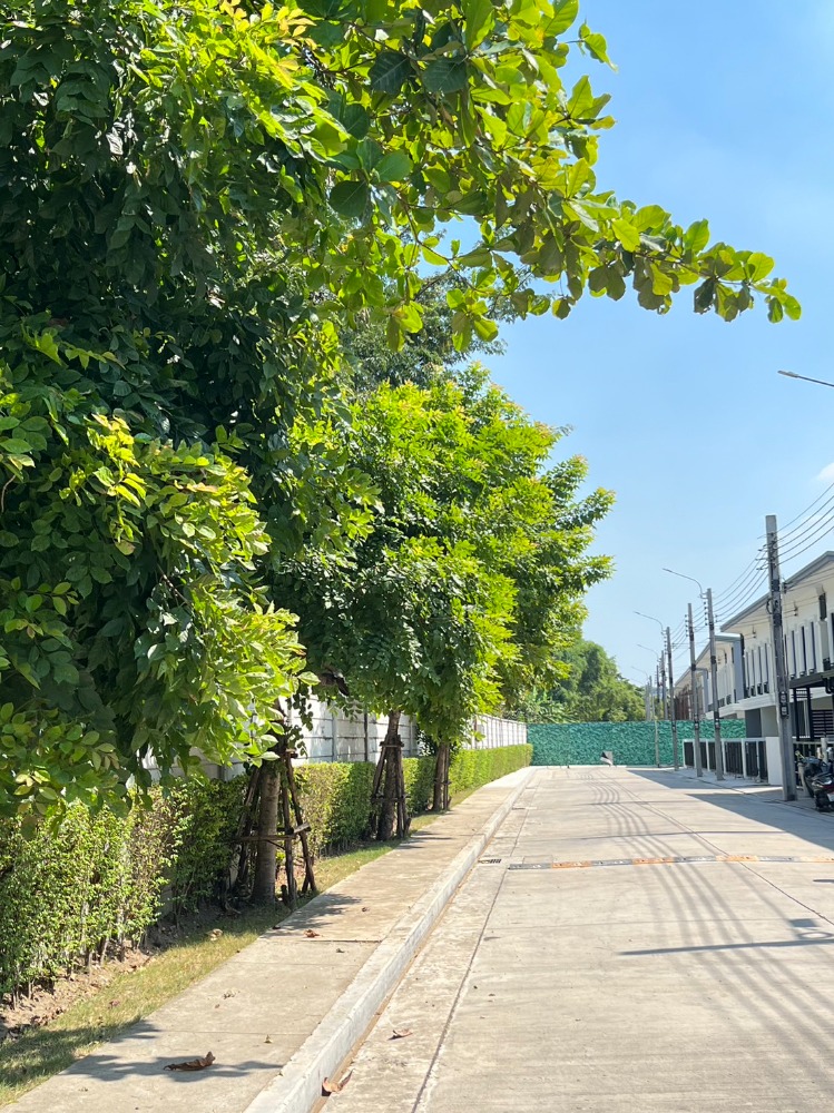 ทาวโฮมส์ ยูนิโอ ทาวน์ สุขสวัสดิ์ 30 Unio Town Suksawat 30 พื้นที่ 18.4 ตารางวา – รูปที่ 3