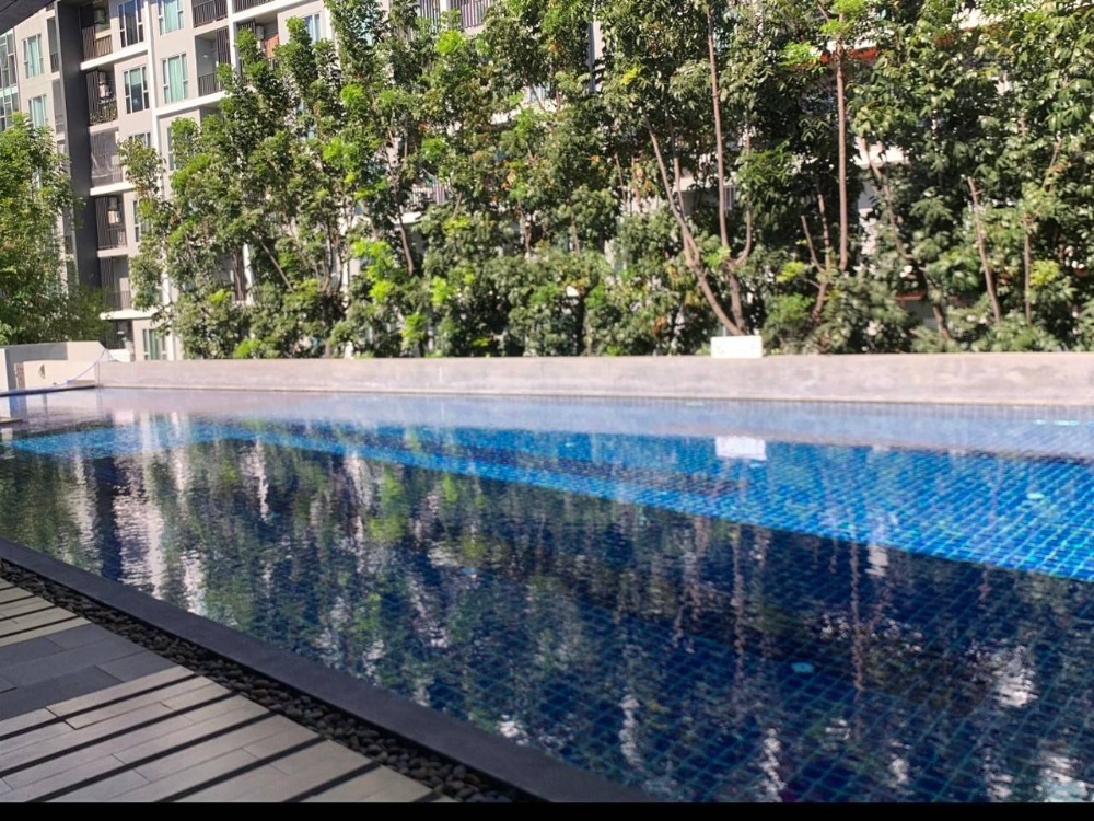 ขายด่วน!! คอนโด Serrano Rama 2 – รูปที่ 4
