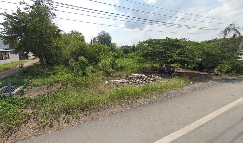 ขาย ที่ดิน 288 ตรว. ติด ถ. เลียบคลอง 11 ฝั่งตะวันตก หนองเสือ ปทุมธานี ใกล้เส้นทางหลวงปทุมธานี-อยุธยา ขาย ที่ดิน 288 ตรว. ติด ถ. เลียบคลอง 11 ฝั่งตะวันตก หนองเสือ ปทุมธานี ใกล้เส้นทางหลวงปทุมธานี-อยุธยา