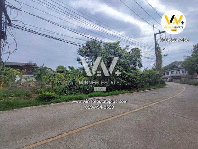 ขายที่ดินติวานนท์ เมืองปทุม วัดกก ซอยศาลเจ้าแม่ทับทิมปทุมธานี ขายที่ดินซอยวัดเทียนถวาย – รูปที่ 4