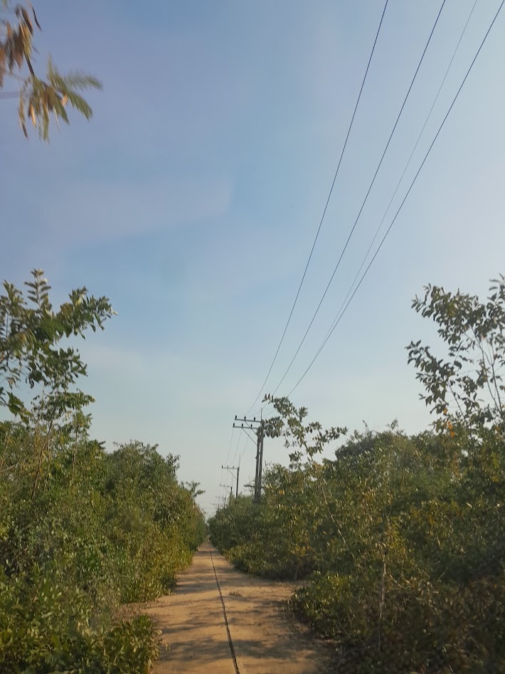 ขายที่ดิน จ.นครปฐม ราคาถูก – รูปที่ 3