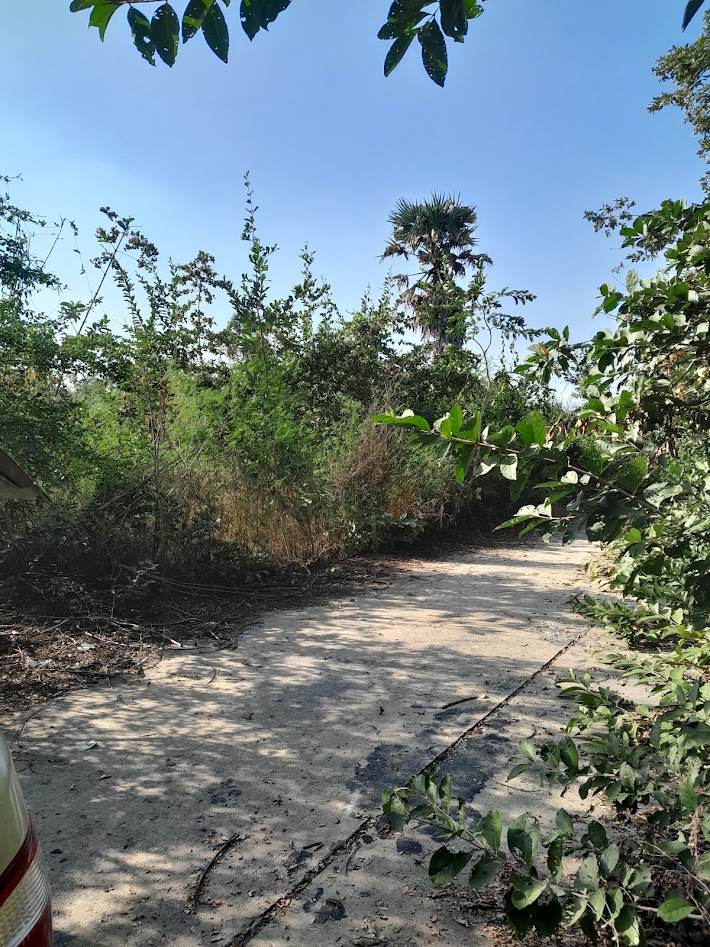For sale in Nakhon Pathom, cheap price For sale in Nakhon Pathom, cheap price
