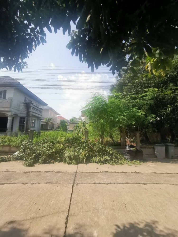 ขายที่ดิน มณีรินทร์ เลค แอนด์ ลากูน 63 ตรว. รังสิต -ปทุมธานี