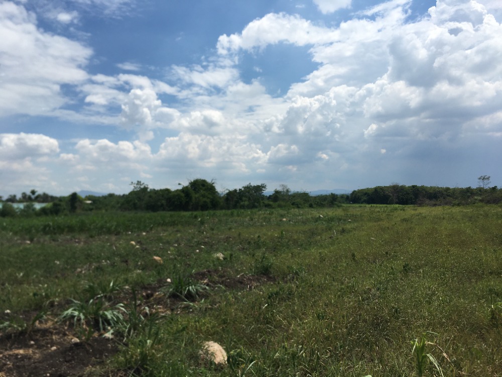 Land for sale 240 rai @Tha Luang District - Lopburi – รูปที่ 3
