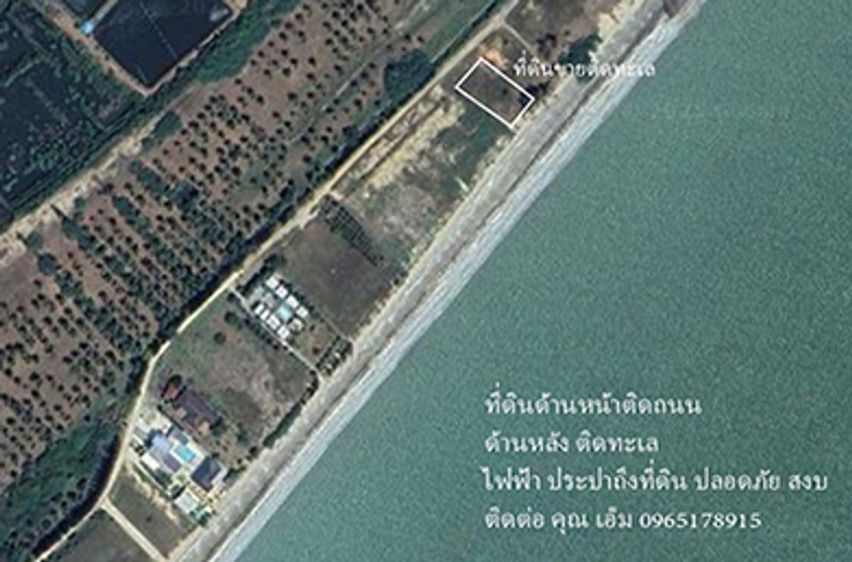 ที่ดินติดทะเล 1-0-3ไร่ กุยบุรี ประจวบคีรีขันธ์ ที่ดินหน้ากว้าง สวยสงบ ปลอดภัย – รูปที่ 4