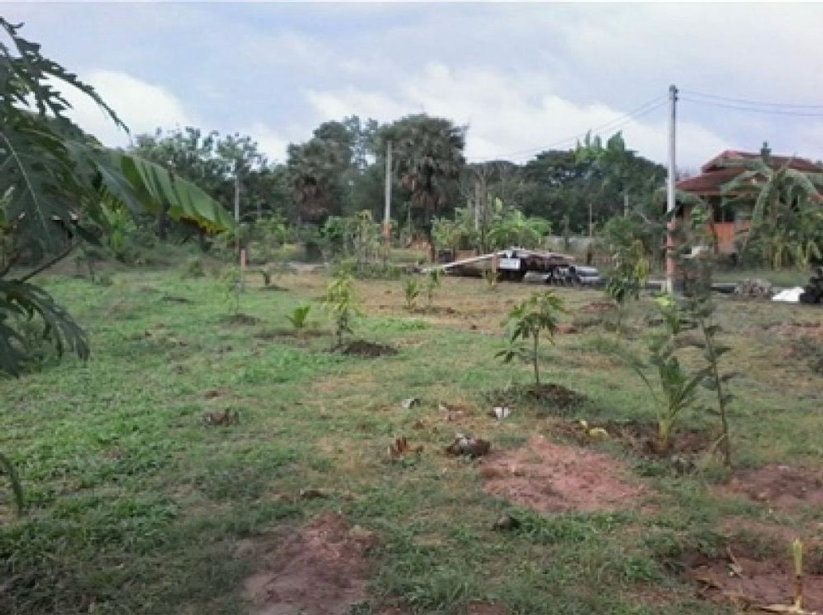 The is selling it himself. Land in Nakhon Ratchasima Province The is selling it himself. Land in Nakhon Ratchasima Province
