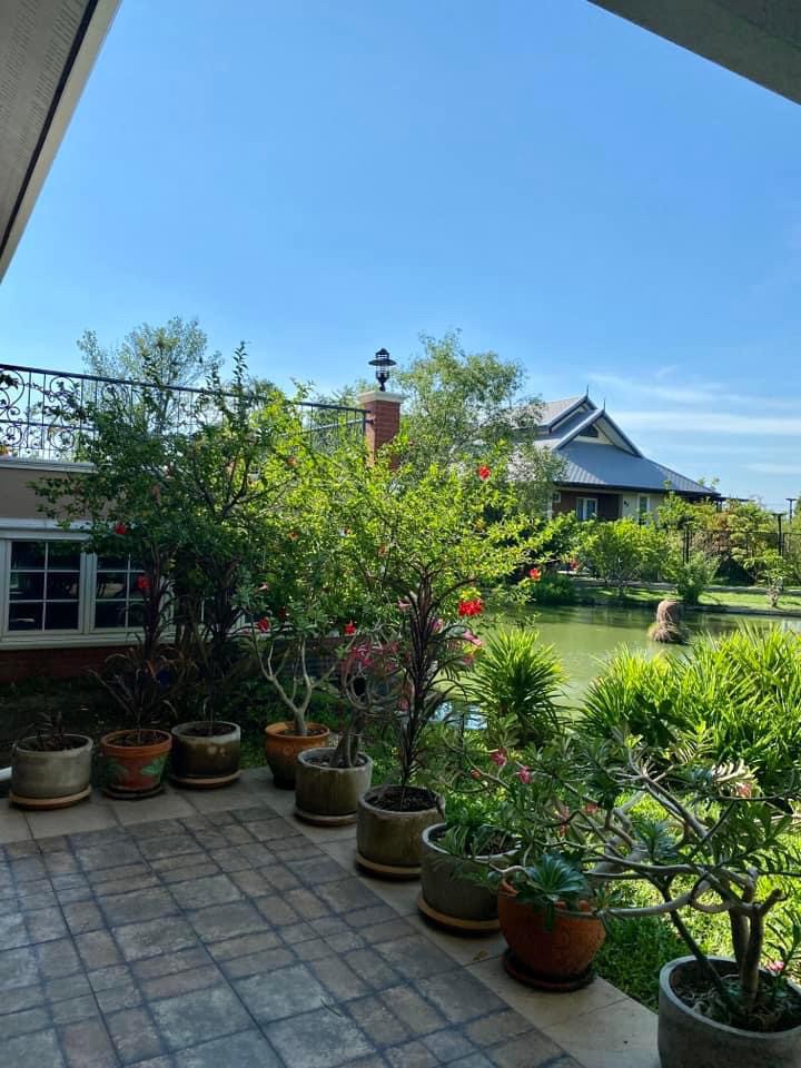 บ้านเดี่ยว 2 ชั้น | ย่านบางบ่อ | 643 ตร.ว. | 4 ห้องนอน | ประตูรั้วไฟฟ้า | ใกล้ทางด่วนบูรพาวิธี – รูปที่ 3