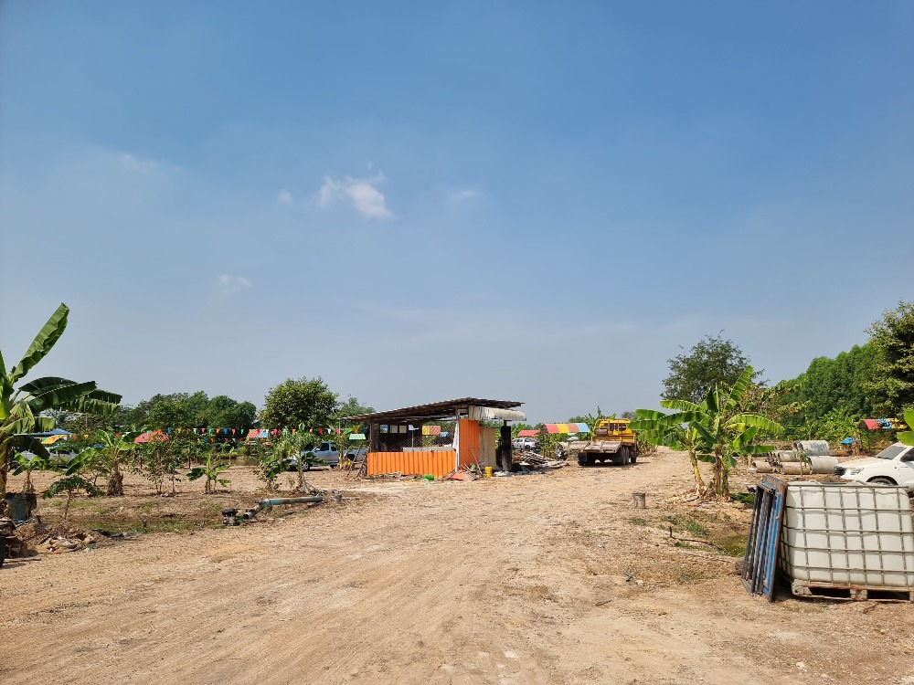 #Empty land for sale 15-1-66.9 rai, Soi Bang Phut 2, Mueang District, Pathum Thani Province, beautiful location, near Workpoint Co., Ltd., Thammasat University. – รูปที่ 4