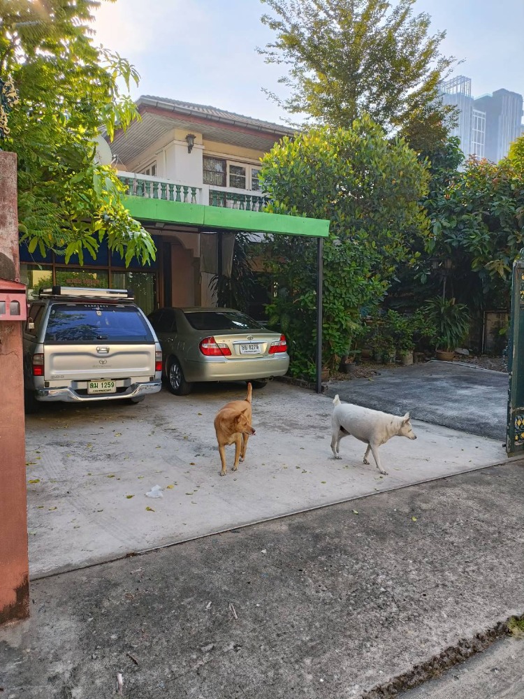 ขายที่ดินพร้อมบ้านเดี่ยว ซอยราชวิถี 2 แยกอรรถวิมล เขตพญาไท เนื้อที่ 102 ตร.ว (เป็นบ้านสร้างเอง) 6 ห้องนอน 4 ห้องน้ำ 3 ที่จอดรถ เป็นซอยตันเงียบสงบ ใกล้ทางด่วน ใกล้อนุสาวรีย์ชัย ใกล้โรงเรียนนานาชาติ – รูปที่ 3