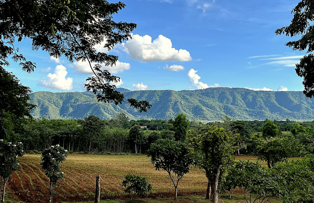 For Sale Khao Yai beautiful land 25.5 rai near Toscana For Sale Khao Yai beautiful land 25.5 rai near Toscana