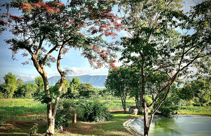 ขายที่ดินสวย 25.5 ไร่ เขาใหญ่ ใกล้ทอสคาน่า – รูปที่ 4