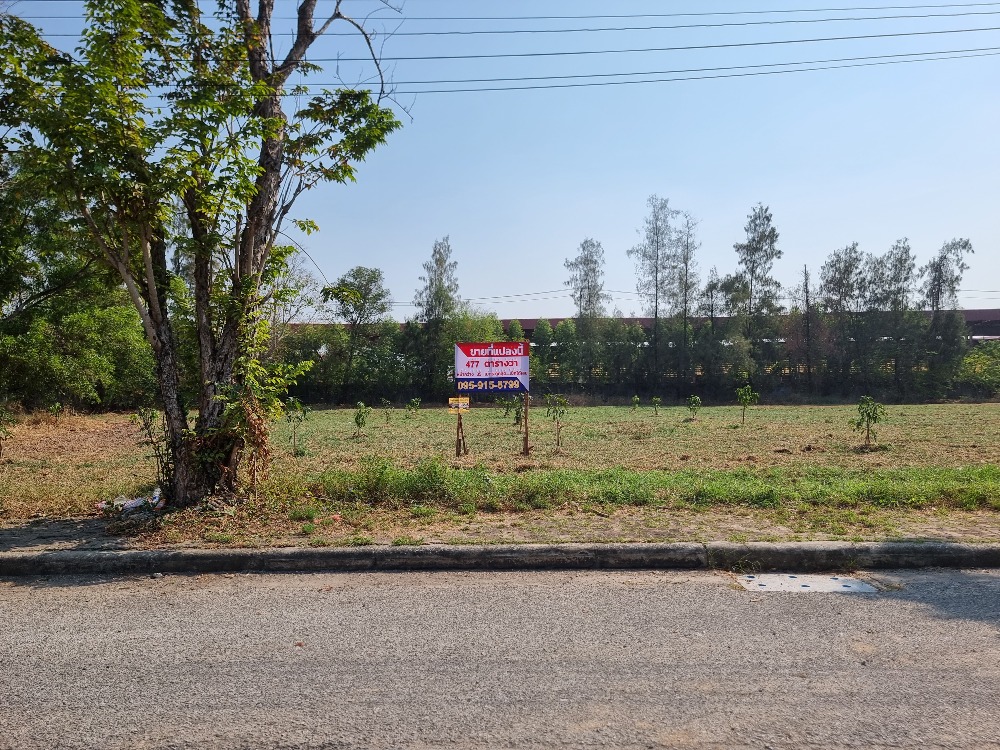 Selling below appraised price, land in Lakewood golf course, 1 rai 77 sq m., beautiful rectangular plot. Suitable for building a house – รูปที่ 3