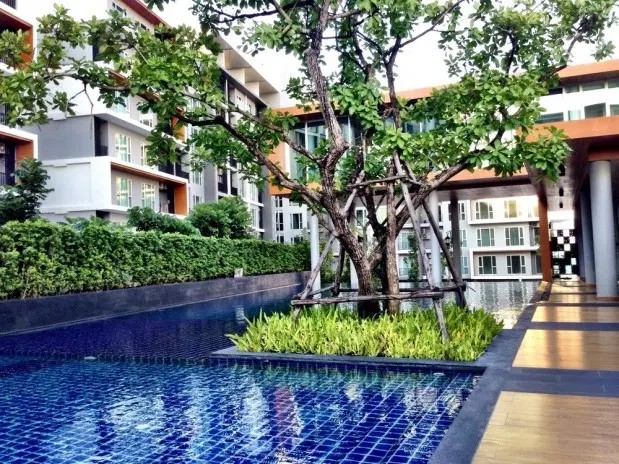 Condo for sale, 8 floors high, Serrano Condominium Rama 2. – รูปที่ 4