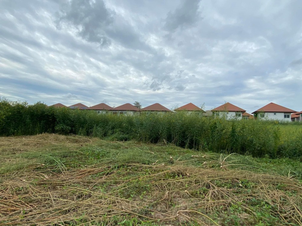 ที่ดินสวยเยื้อง Central Westgate /  ใกล้ Motorway – รูปที่ 3