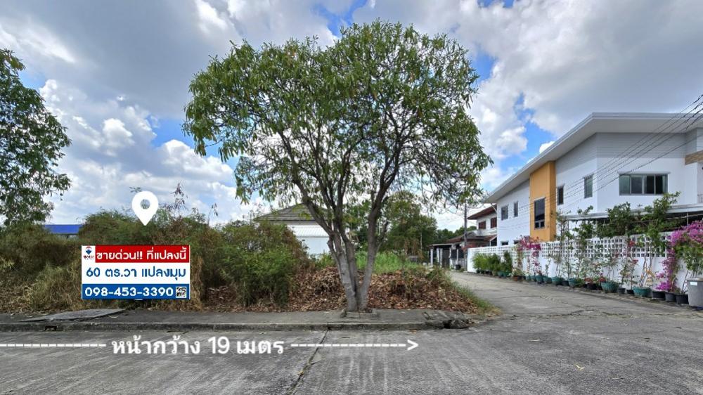 🌳 ที่ดินแปลงมุม หน้ากว้าง 📏 60 ตร.วา ใน PalmSpring Ville (ปาล์มสปริง วิลล่า) ขนาดกำลังดีถมแล้ว ⛳️🏌♂️ ใกล้สนามกอล์ฟปัญญาอินทรา 🌳 ที่ดินแปลงมุม หน้ากว้าง 📏 60 ตร.วา ใน PalmSpring Ville (ปาล์มสปริง วิลล่า) ขนาดกำลังดีถมแล้ว ⛳️🏌♂️ ใกล้สนามกอล์ฟปัญญาอินทรา