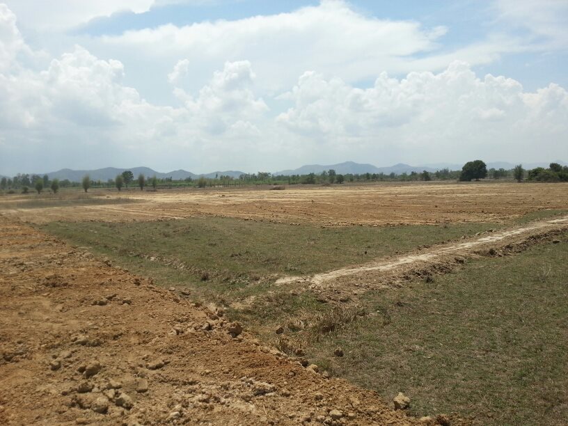 Land for sale, 50 rai, cheap price, Khao Yoi, Nong Chum Phon Nuea, Phetchaburi – รูปที่ 2