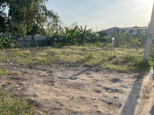 📢Land for sale, elevated terrain suitable for construction, excellent Feng Shui (42,000 Baht per sq.wa), with Chanote title deed, orange-zoned area.