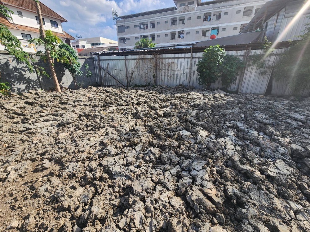 🔥Urgent land for sale🔥Land 97 sq m. Soi Phongwet Anusorn 1 (Sukhumvit 64), suitable for building a residence and warehouse. – รูปที่ 3