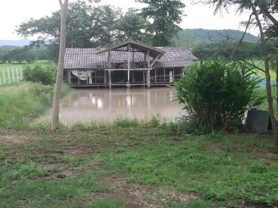 ที่ดินจังหวัดพะเยา ที่ดินจังหวัดพะเยา