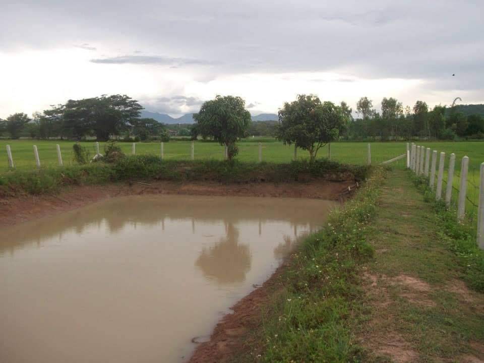 The  is selling the land in Phayao Province. – รูปที่ 2