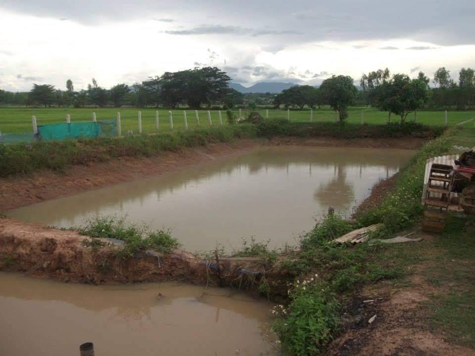 The  is selling the land in Phayao Province. – รูปที่ 3