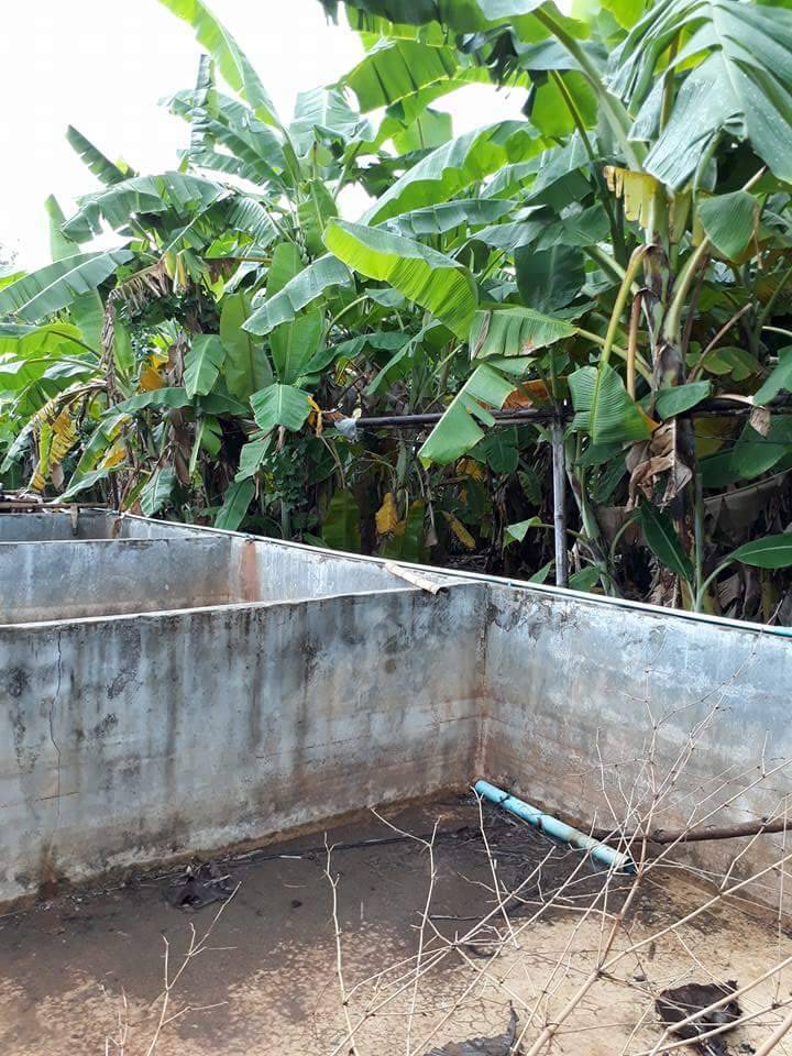 The  is selling the land in Phayao Province. – รูปที่ 3