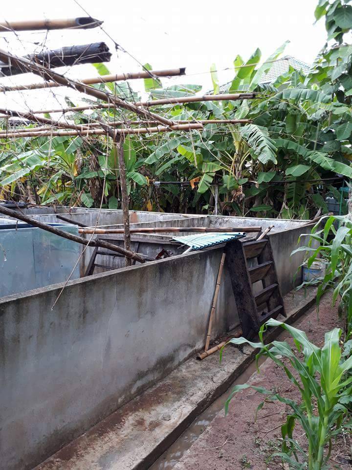 The  is selling the land in Phayao Province. – รูปที่ 4