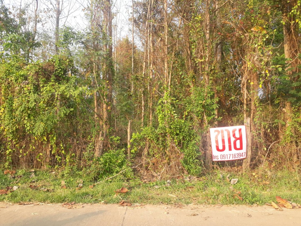 ที่ดินจังหวัดพะเยา – รูปที่ 2