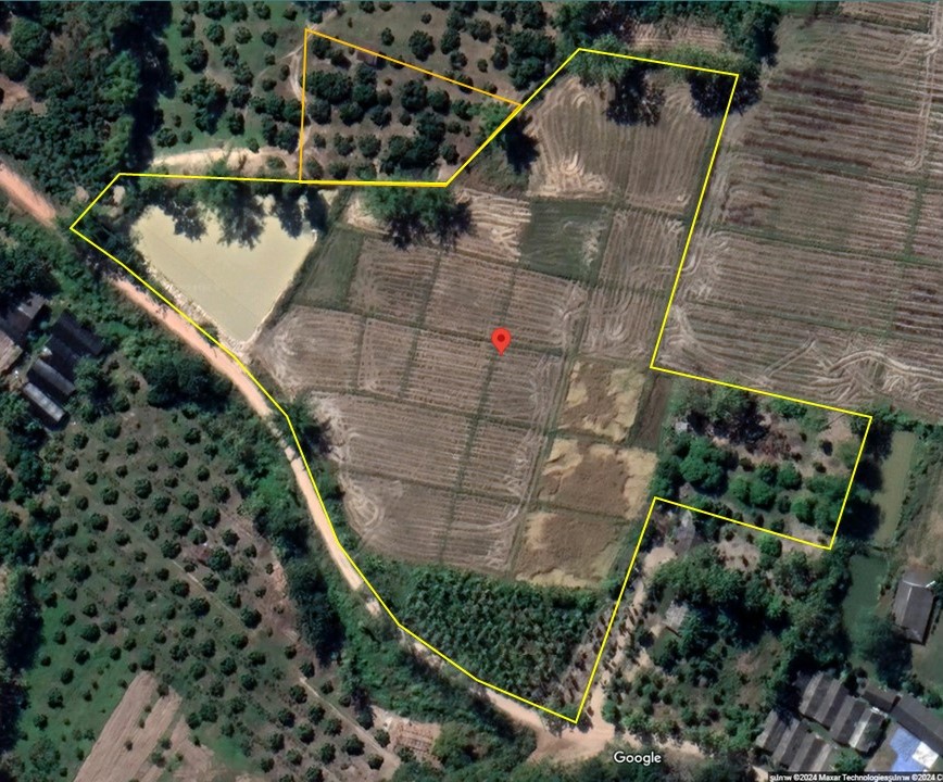 Land for sale 10++ rai with dug pond/agricultural pond (plus 1 rai of longan orchard hill) Land for sale 10++ rai with dug pond/agricultural pond (plus 1 rai of longan orchard hill)
