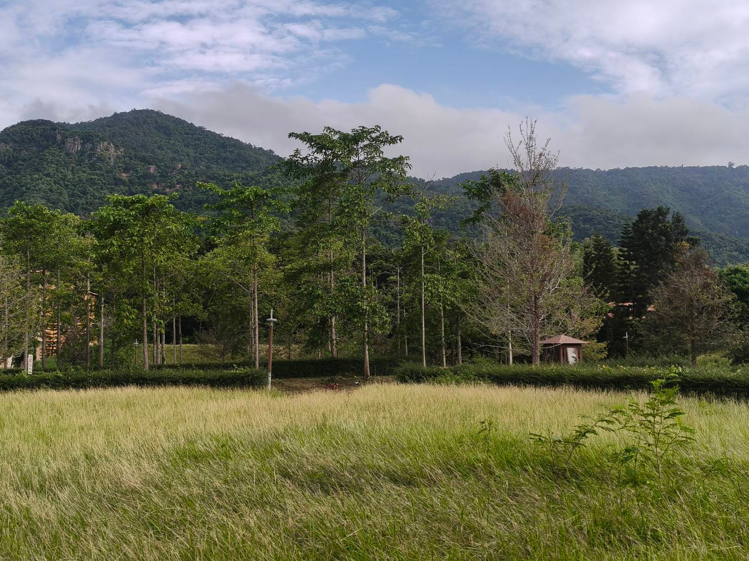 🏞️For sale at Khao Yai, next to a mountain, very beautiful mountain view, 21 rai, on a hill. Looking out, the mountain view is very beautiful. Saw Lam Takhong Dam near line 2235 Nong Sarai, Pak Chong, near The Paz, The Paz, very good atmosphere. Suitable 🏞️For sale at Khao Yai, next to a mountain, very beautiful mountain view, 21 rai, on a hill. Looking out, the mountain view is very beautiful. Saw Lam Takhong Dam near line 2235 Nong Sarai, Pak Chong, near The Paz, The Paz, very good atmosphere. Suitable