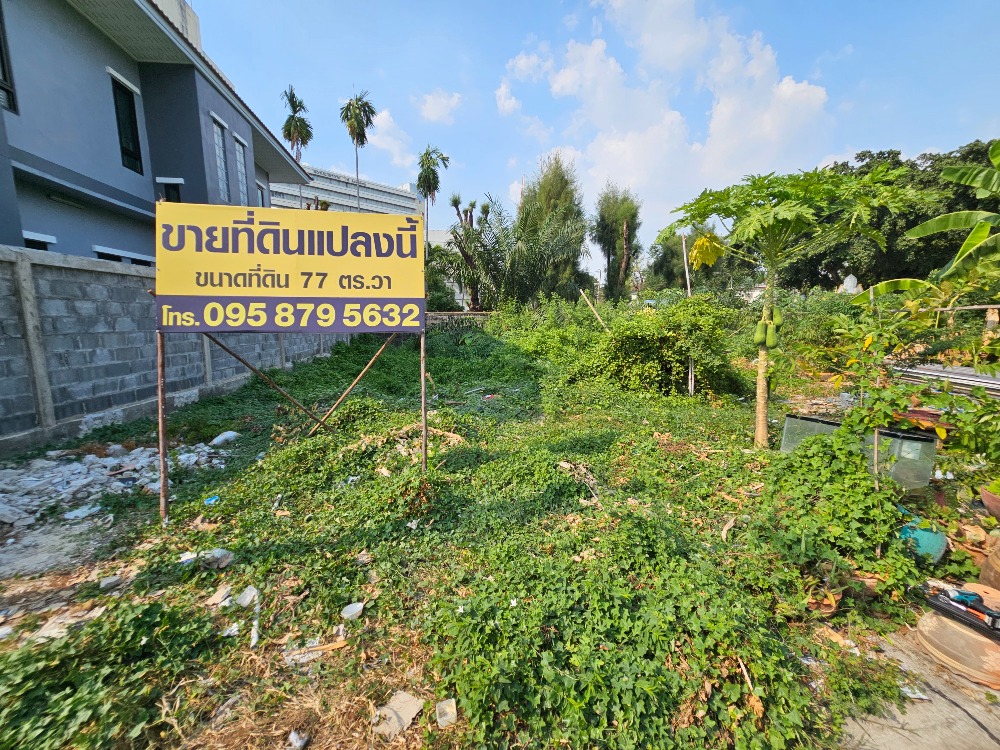 Land for sale, Soi Ngamwongwan 9, Intersection 4, land size 77 square wah Land for sale, Soi Ngamwongwan 9, Intersection 4, land size 77 square wah