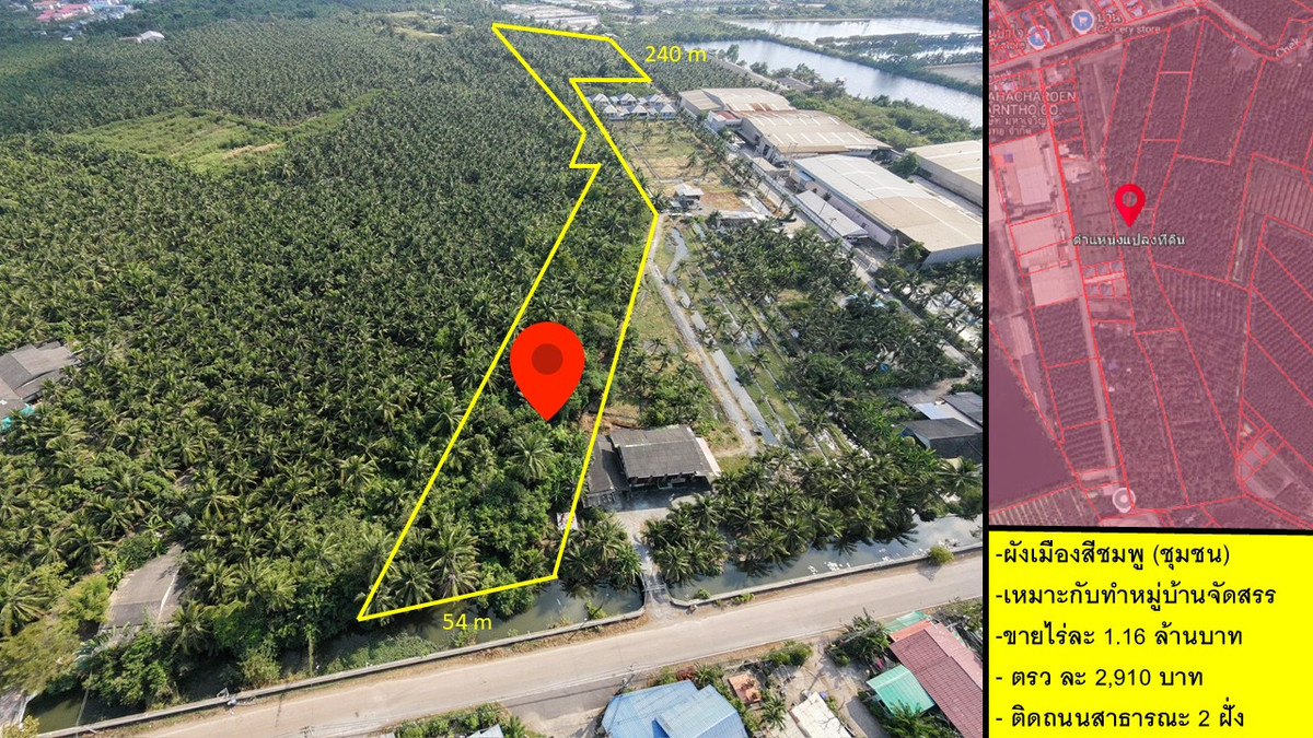 Coconut plantation land for sale 1.1x million per rai, near Rama 2 Road. Ban Phaeo, Samut Sakhon – รูปที่ 2