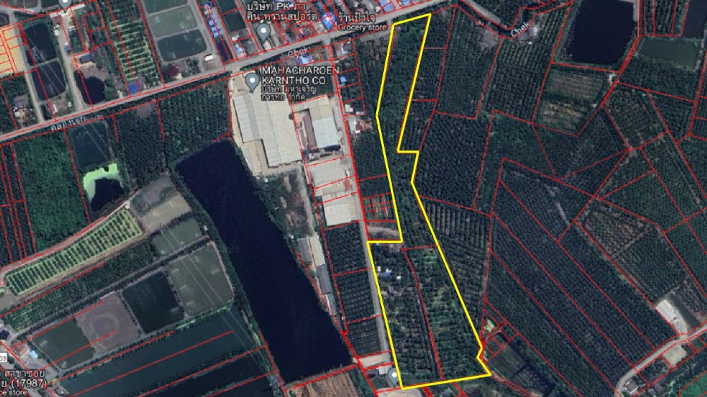 Coconut plantation land for sale 1.1x million per rai, near Rama 2 Road. Ban Phaeo, Samut Sakhon – รูปที่ 3