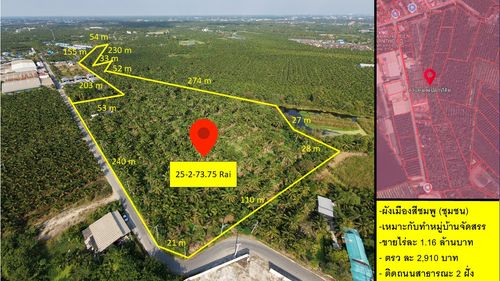 ขายที่ดินสวนมะพร้าว พร้อมเก็บผลผลิต  ไร่ละ 1.1x ล้าน ใกล้ถนนพระราม2  บ้านแพ้ว สมุทรสาคร