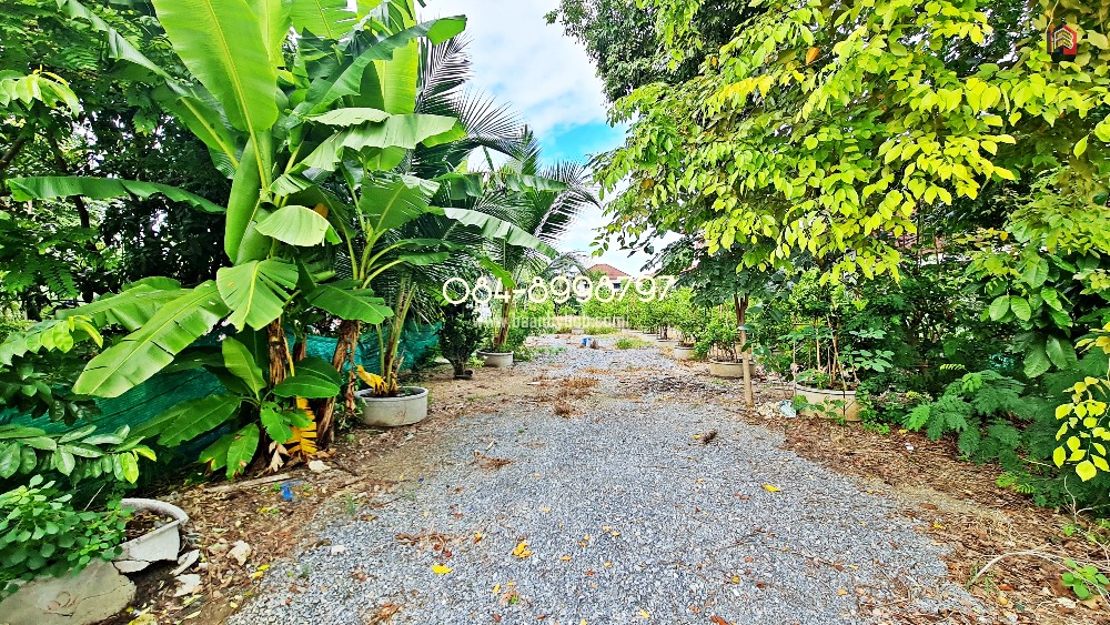 Land for sale near Ratchaphruek Road, alley behind Wat Konon, Mahasawat, Bang Kruai, Nonthaburi, 498 sq wah. with 1 house, already filled in,selling the entire plot for 12.95 million. – รูปที่ 2