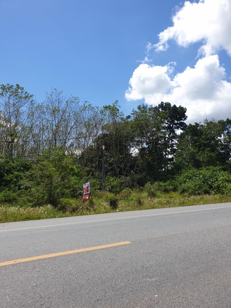 Land for sale or rent, Rattaphum District, Songkhla Province, near the road to Satun. Interested, contact 099-495-4859.