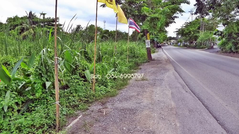 ขายที่ดิน บางระมาด ตลิ่งชัน 15-0-67 ไร่ หน้ากว้างติดถนนบางระมาด 76 เมตร ใกล้ตลาดน้ำคลองลัดมะยม ขาย 55,000 บาท/ตารางวา – รูปที่ 3