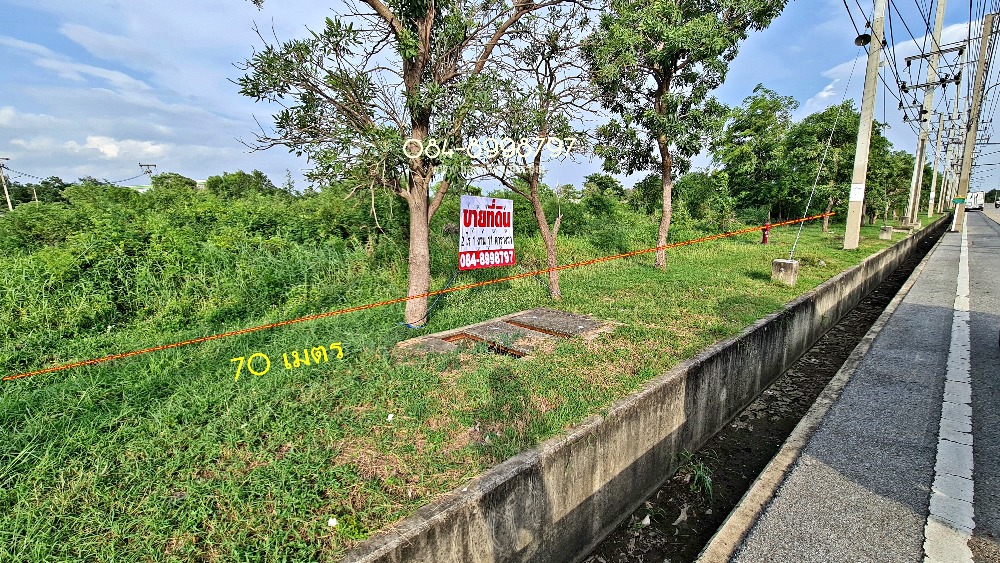 Land for sale in Rojana Industrial Estate 2, Ayutthaya, area 911 square wah, already filled in at street level, selling cheap, whole plot 11 million baht. – รูปที่ 4