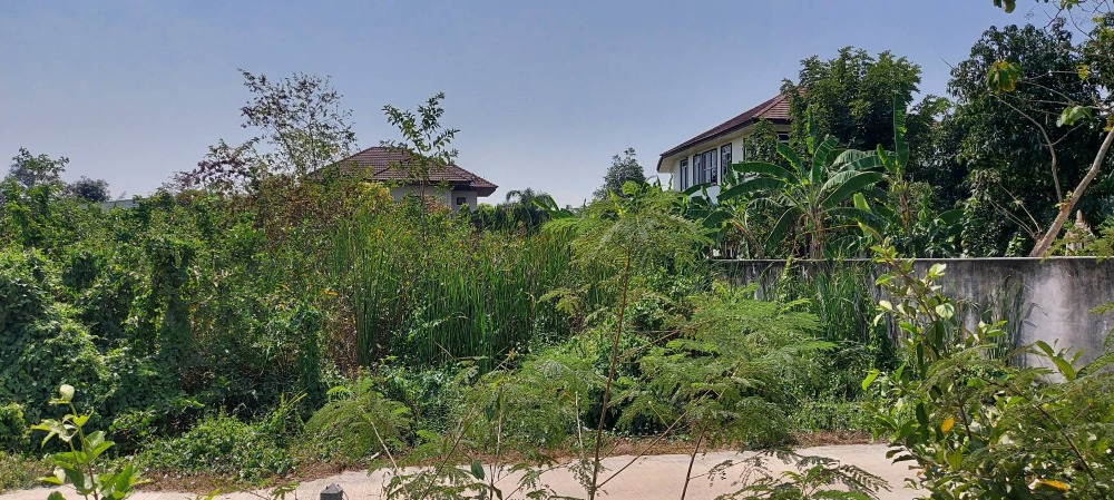 Land for sale, area 203.5 sq m, Phetkasem Road, Soi Wisawasenanikom, Don Tako Subdistrict, Mueang Ratchaburi District, Ratchaburi Province – รูปที่ 3