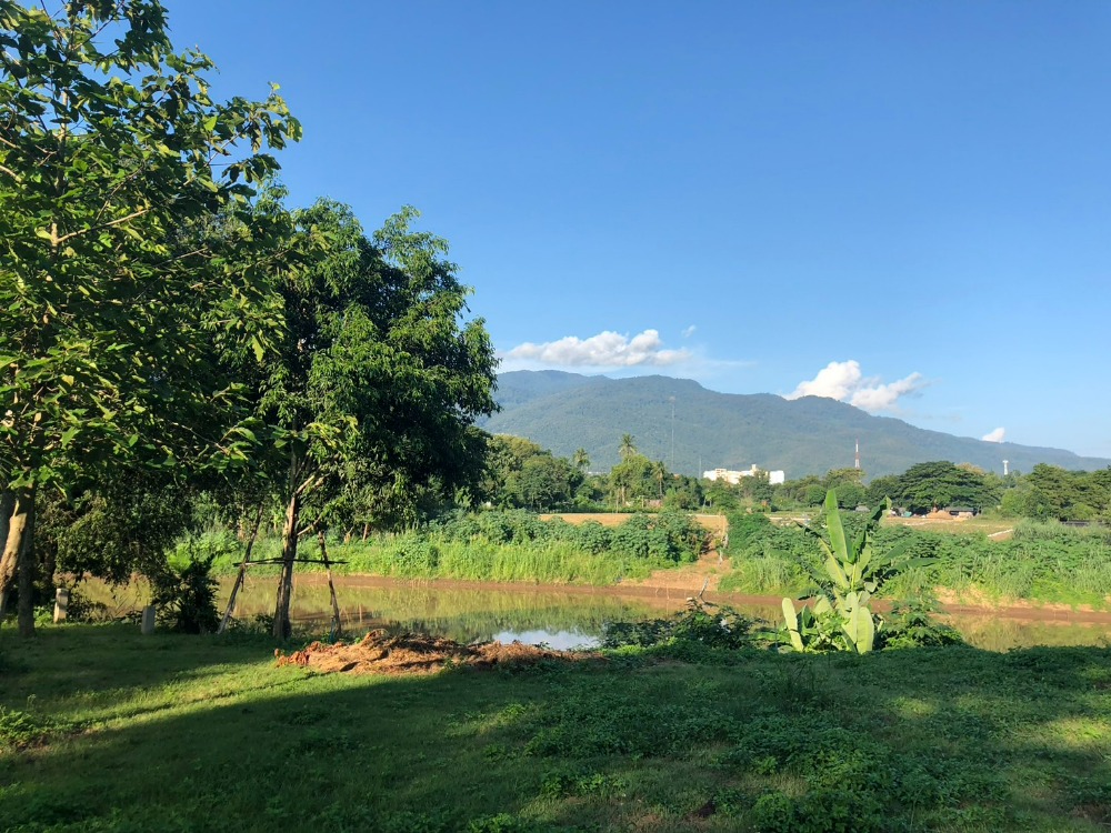 Beautiful land for sale next to the Ping River, Doi Suthep view, Chiang Mai. – รูปที่ 4