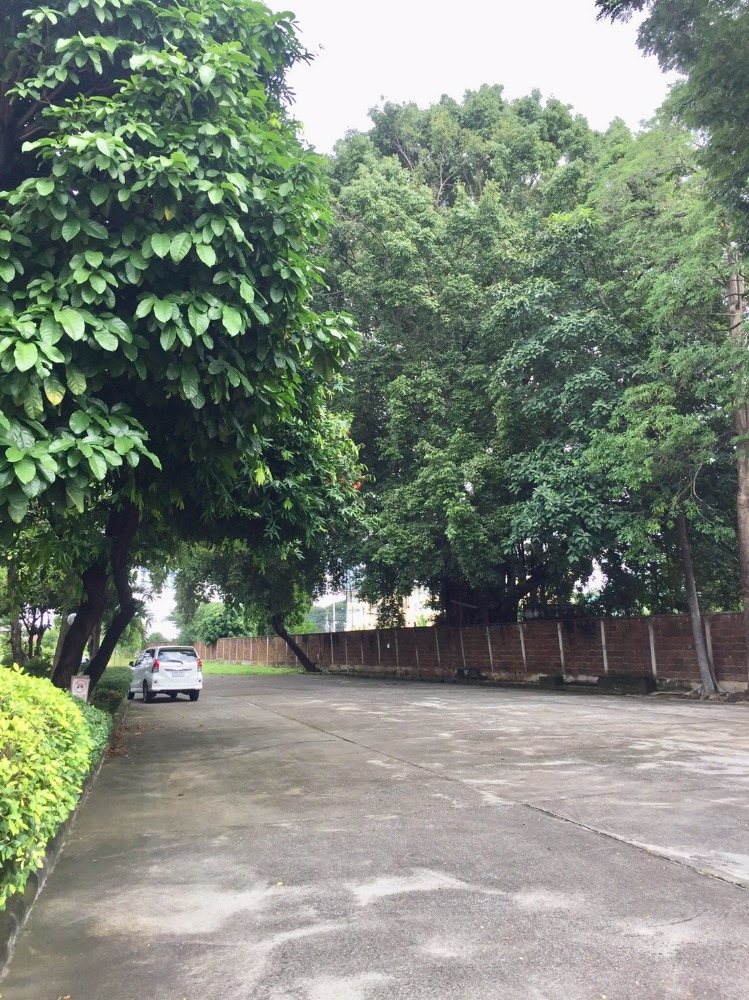 Land for sale in the heart of Chiang Mai city. – รูปที่ 4