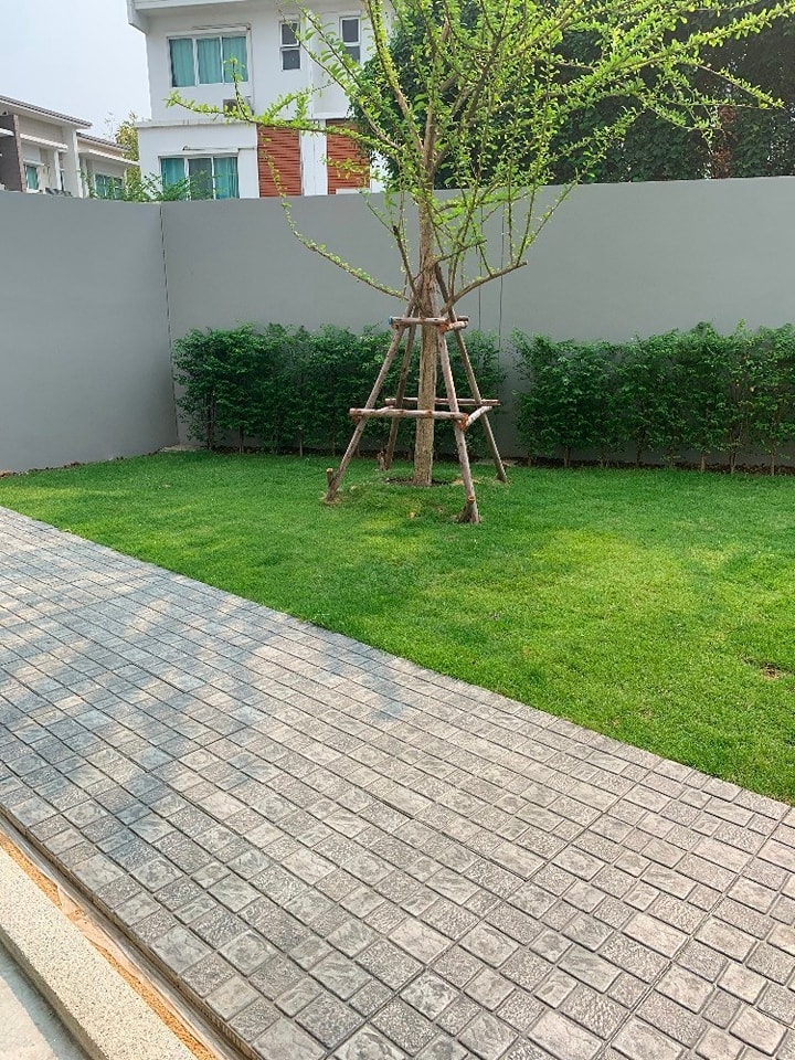 ✅ S-NVN102 ✅ Line : @p2nproperty ✅ S-NVN102 ✅ Line : @p2nproperty